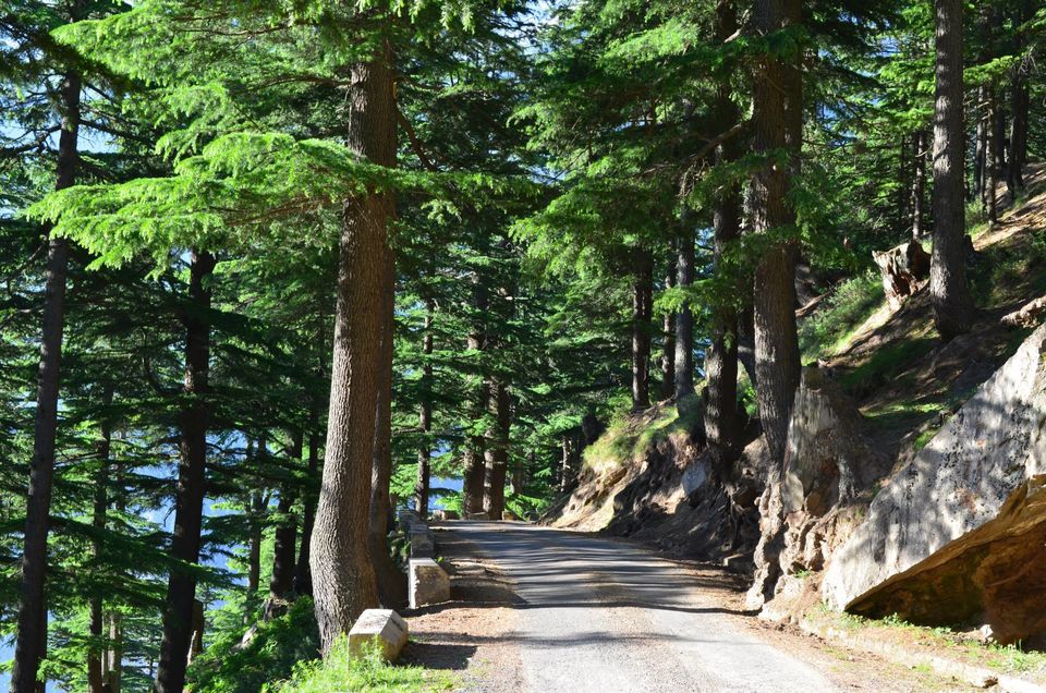 Photo of Captivating Kinnaur 14/22 by Sanmitra Mallick