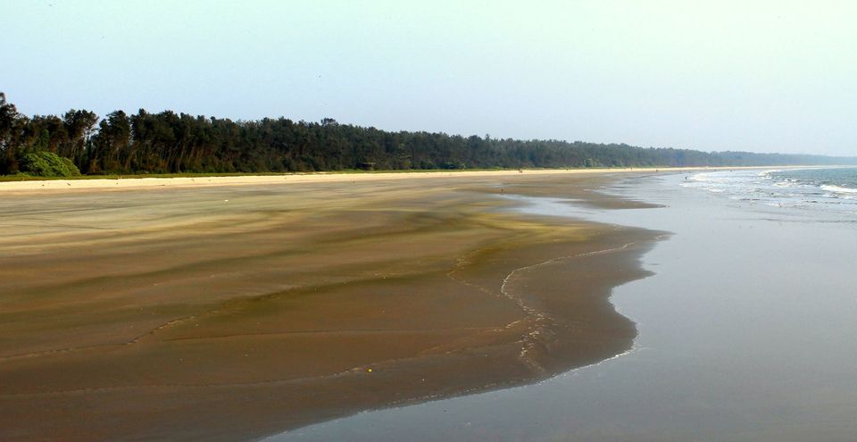 Photo of Kannur: Malabar cuisine and my rendezvous with the dolphins 5/7 by Abhishek Kumar