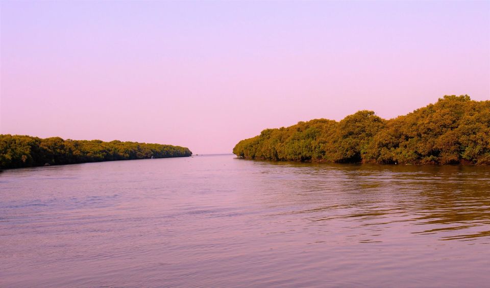 Photo of Konaseema : A little Kerela in Andhra Pradesh and the beauty of unexplored mangrove by Abhishek Kumar