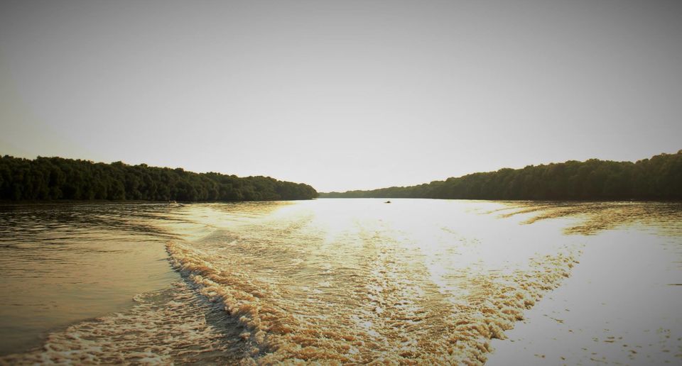 Photo of Konaseema : A little Kerela in Andhra Pradesh and the beauty of unexplored mangrove by Abhishek Kumar