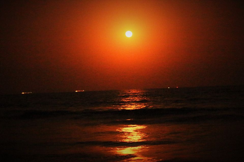 Photo of Konaseema : A little Kerela in Andhra Pradesh and the beauty of unexplored mangrove by Abhishek Kumar