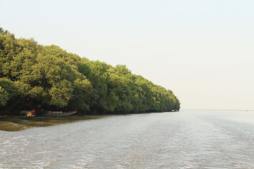 Photo of Konaseema : A little Kerela in Andhra Pradesh and the beauty of unexplored mangrove by Abhishek Kumar