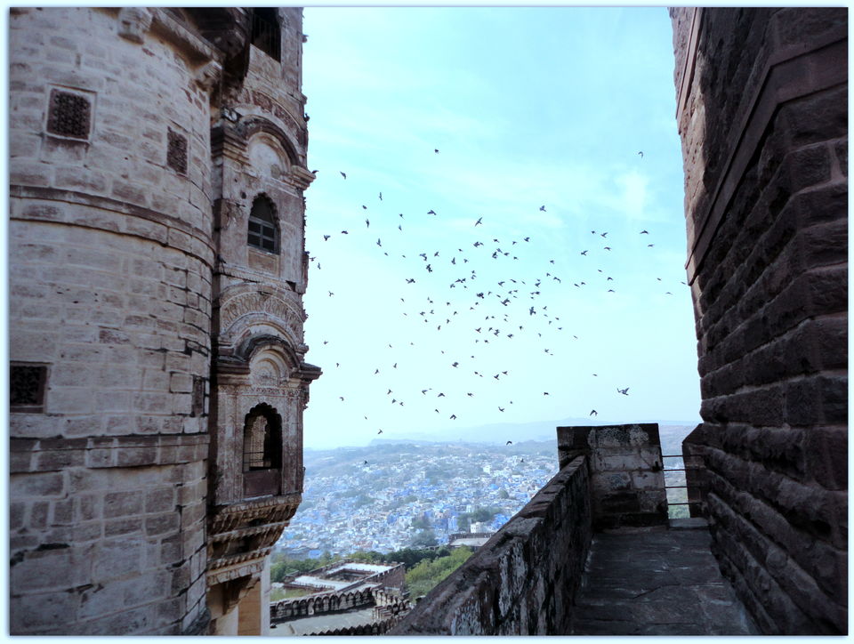 Photo of Desert Cruise: Jodhpur & Jaisalmer 1/26 by Shradha