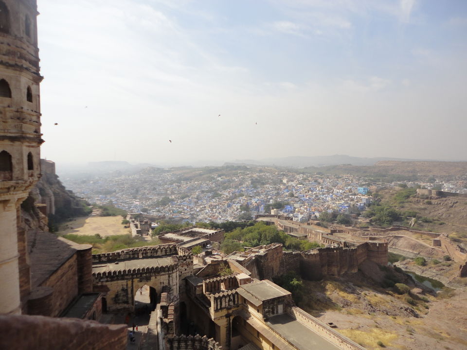Photo of Desert Cruise: Jodhpur & Jaisalmer 2/26 by Shradha
