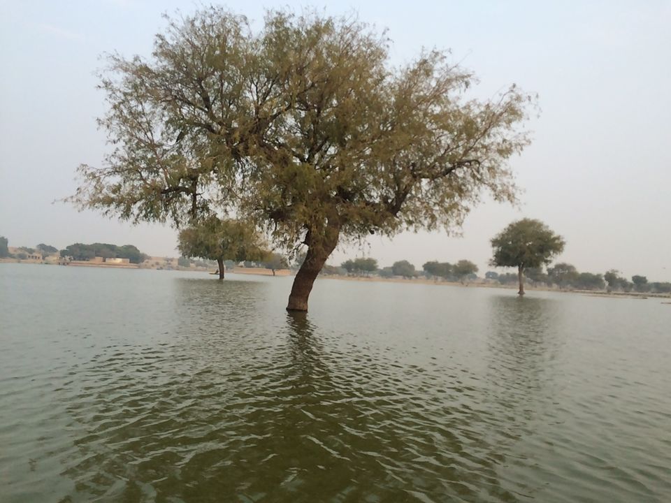 Photo of Desert Cruise: Jodhpur & Jaisalmer 9/26 by Shradha