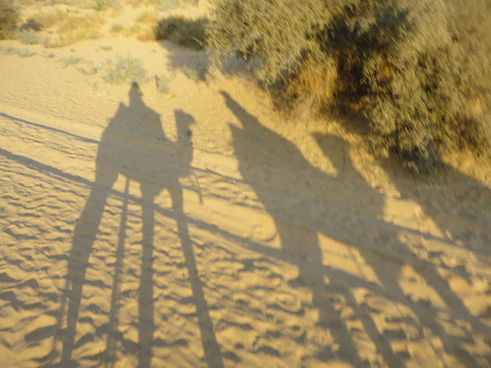 Photo of Desert Cruise: Jodhpur & Jaisalmer 13/26 by Shradha