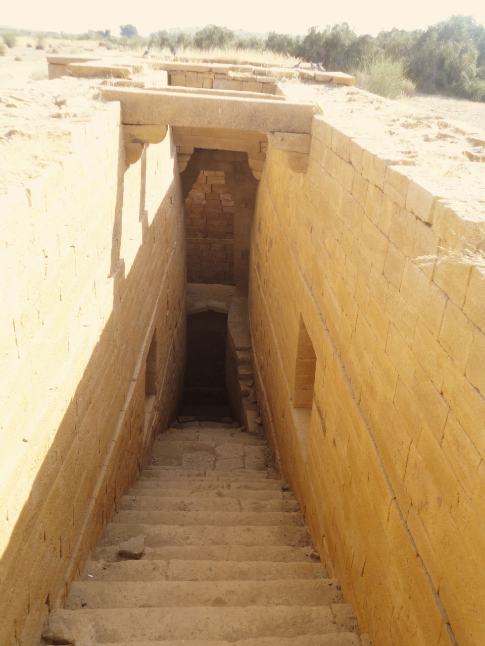 Photo of Desert Cruise: Jodhpur & Jaisalmer 15/26 by Shradha