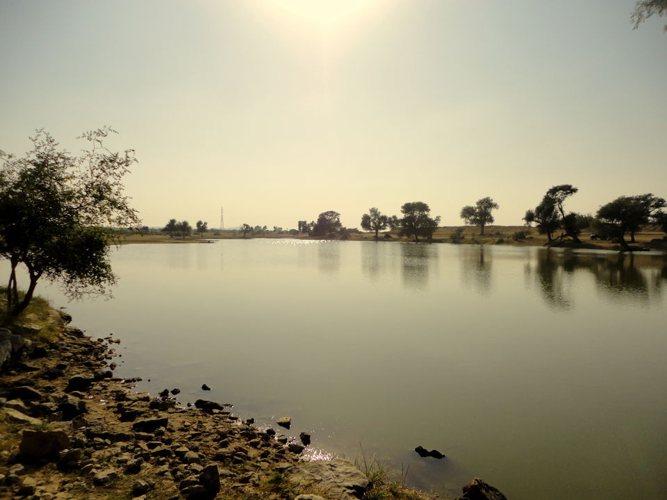 Photo of Desert Cruise: Jodhpur & Jaisalmer 18/26 by Shradha