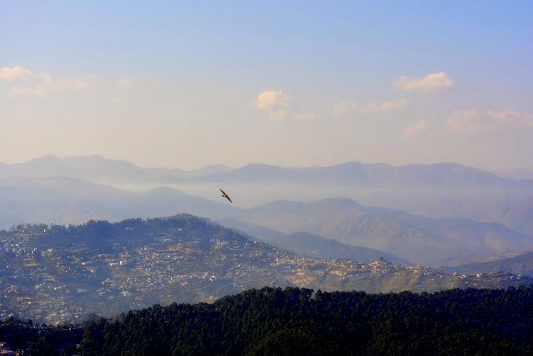 Photo of Almora: Wild and Serene 1/17 by Shradha