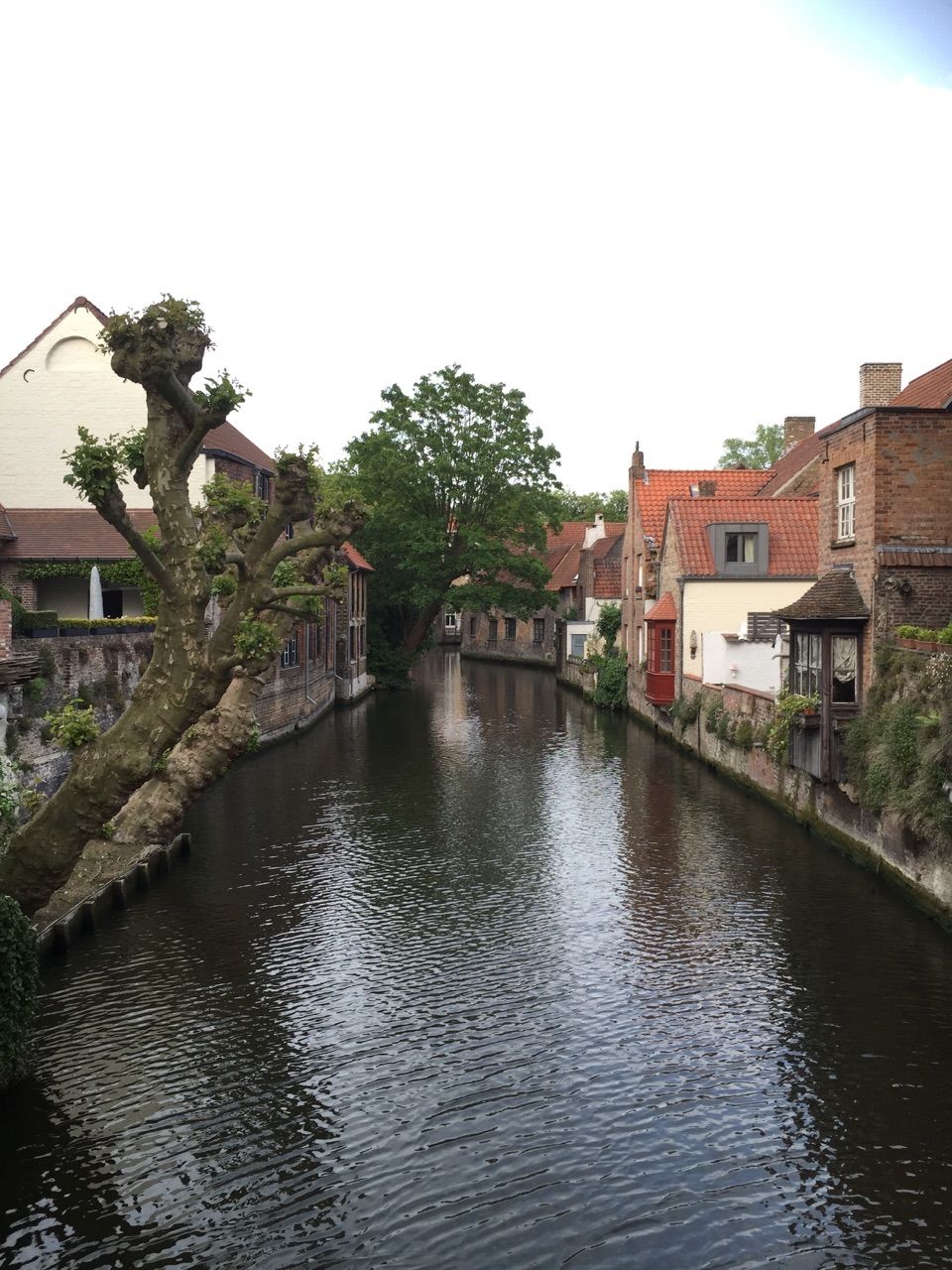 Photo of Bruges, Belgium: Canals And Beyond... 2/4 by Shradha