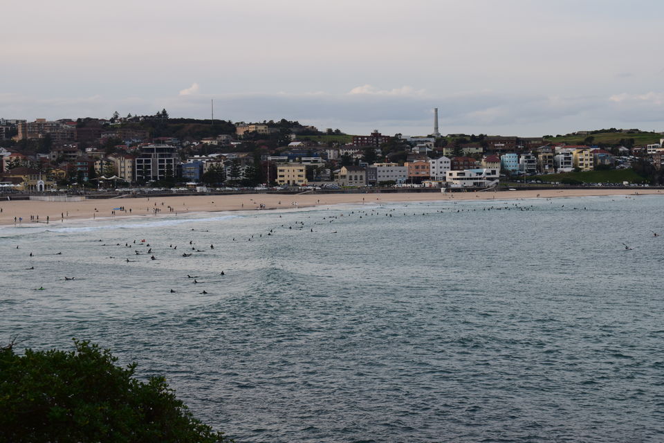Photo of For The Love Of Travel, Food and Wine... (Sydney) 7/27 by Shradha