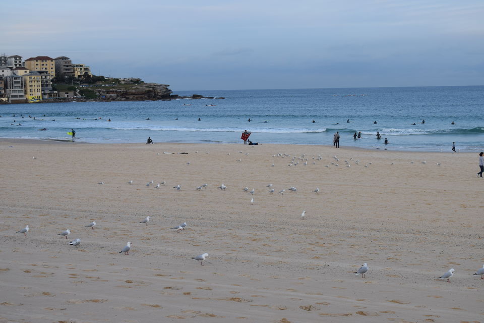 Photo of For The Love Of Travel, Food and Wine... (Sydney) 8/27 by Shradha