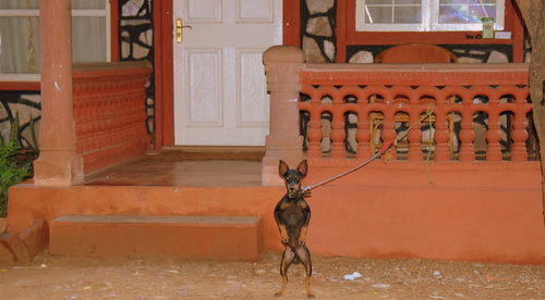 Photo of Ranthambore: An Encounter With The Tiger Or Not...? 4/9 by Shradha