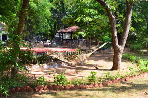 Photo of Ranthambore: An Encounter With The Tiger Or Not...? 5/9 by Shradha
