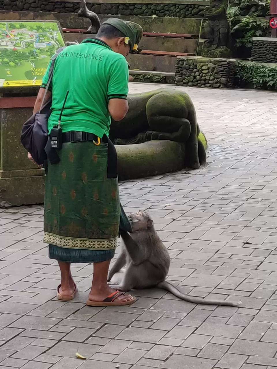 Photo of Sacred Monkey Forest Sanctuary, Jalan Monkey Forest, Ubud, Gianyar, Bali, Indonesia by Shruthi