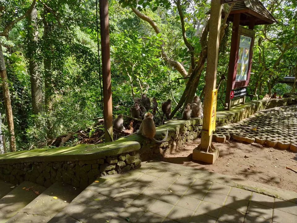Photo of Sacred Monkey Forest Sanctuary, Jalan Monkey Forest, Ubud, Gianyar, Bali, Indonesia by Shruthi