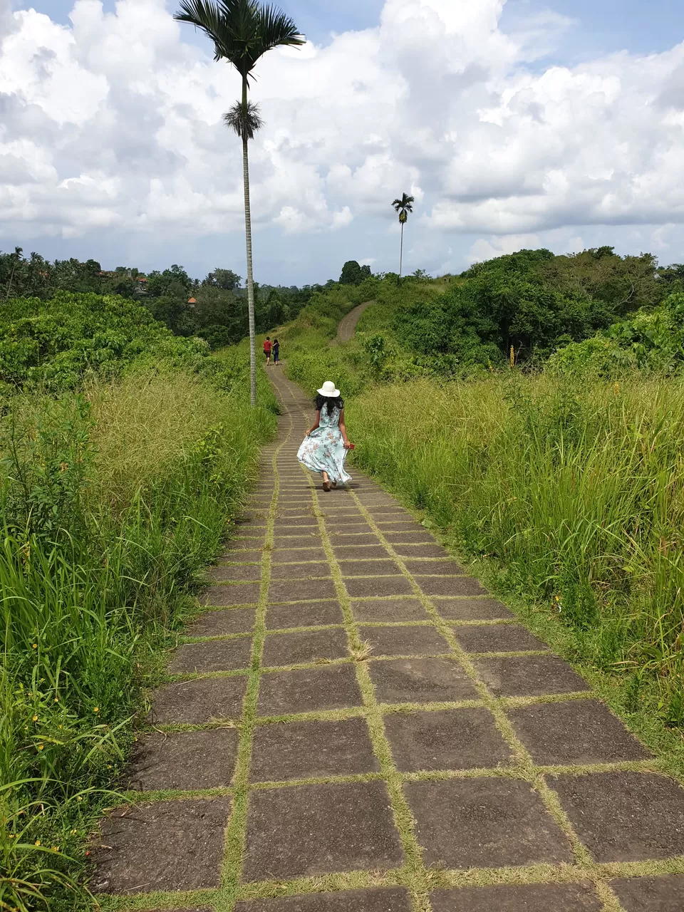 Photo of Campuhan Ridge Walk, Jalan Raya Campuhan, Sayan, Gianyar, Bali, Indonesia by Shruthi