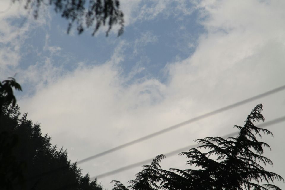 Photo of Manali, Himachal Pradesh, India by S Vignesh