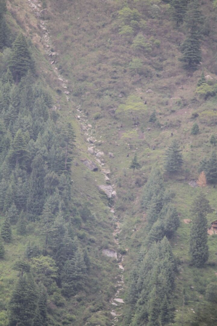 Photo of Manali, Himachal Pradesh, India by S Vignesh