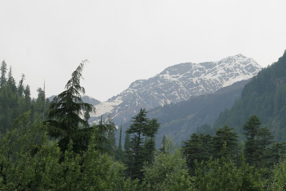 Photo of Manali, Himachal Pradesh, India by S Vignesh