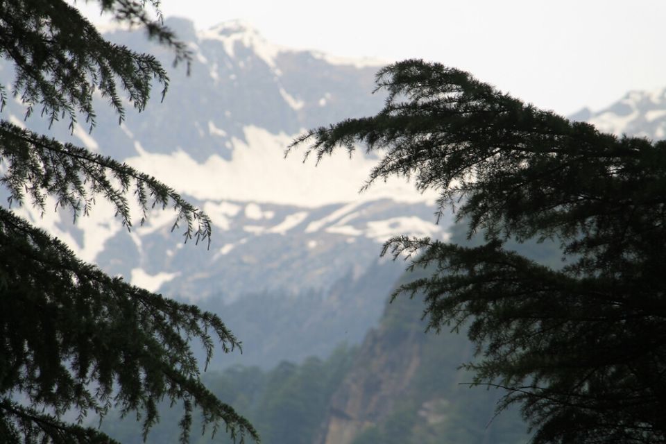 Photo of Manali, Himachal Pradesh, India by S Vignesh