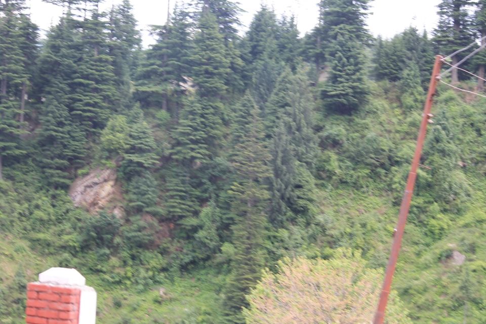 Photo of Manali, Himachal Pradesh, India by S Vignesh