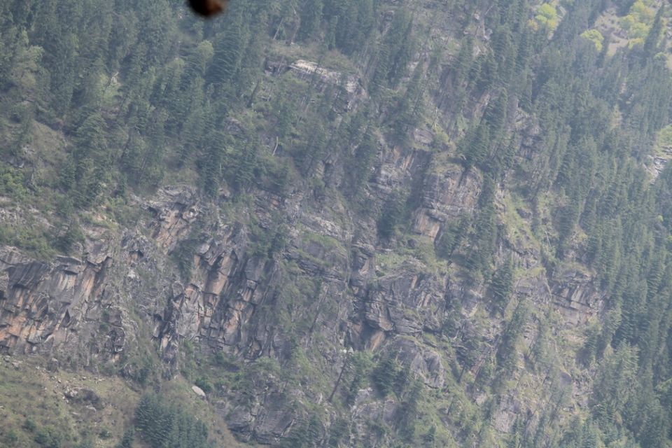 Photo of Manali, Himachal Pradesh, India by S Vignesh