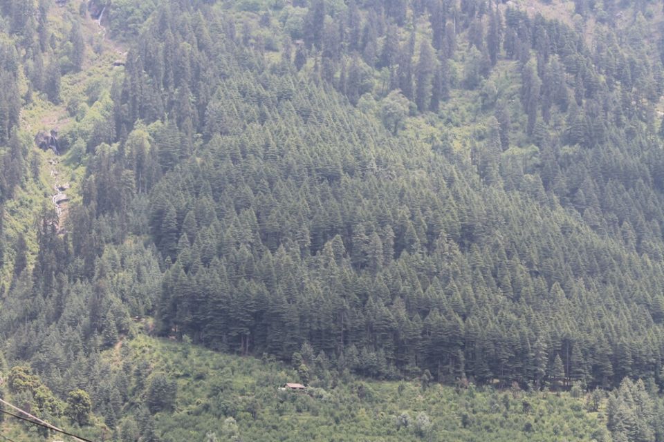 Photo of Manali, Himachal Pradesh, India by S Vignesh