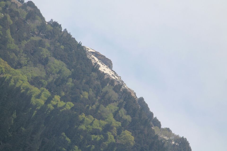 Photo of Manali, Himachal Pradesh, India by S Vignesh
