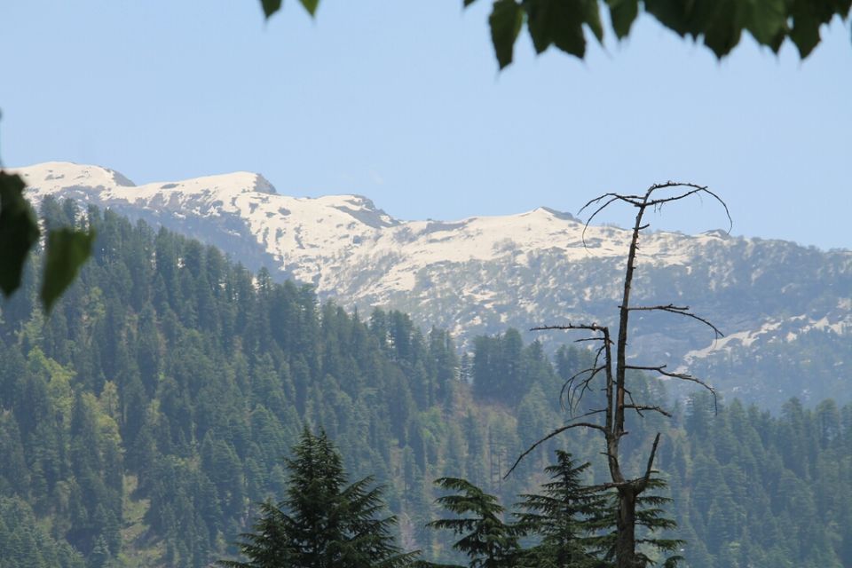Photo of Manali, Himachal Pradesh, India by S Vignesh