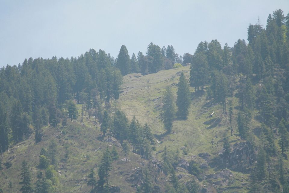 Photo of Manali, Himachal Pradesh, India by S Vignesh