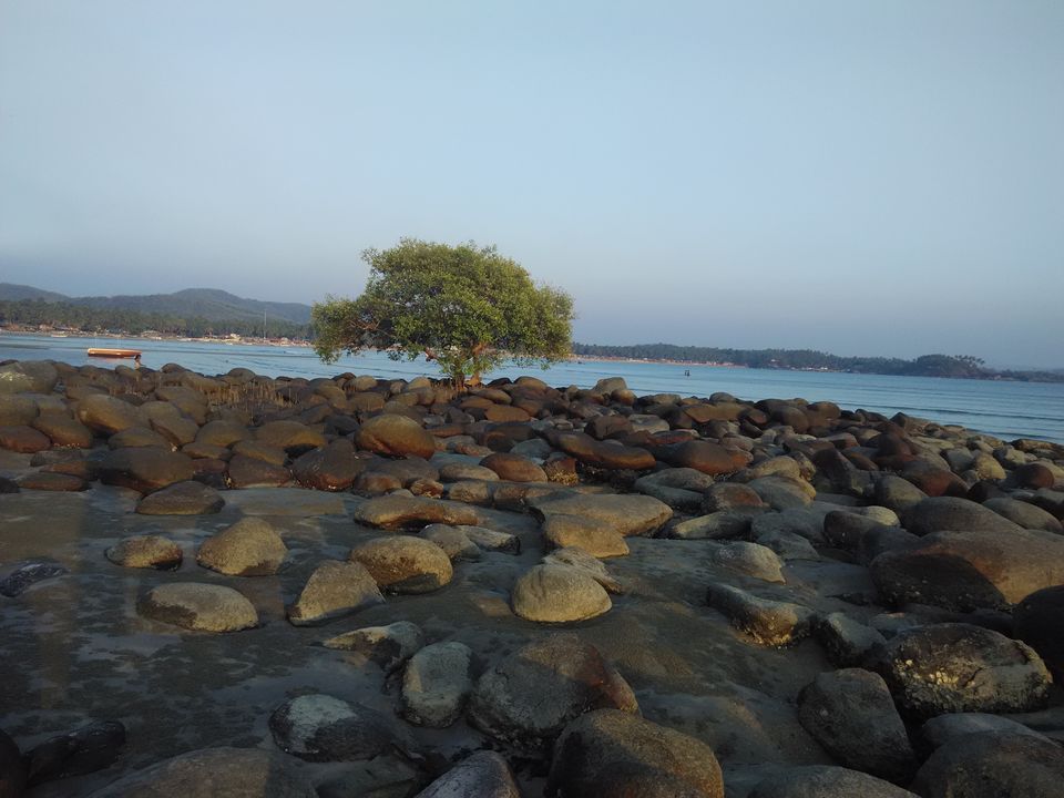 Photo of A Wanderlust's Delight – Goa 7/11 by Nehal Mewada