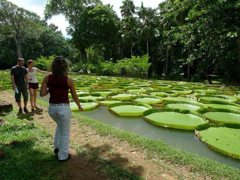 Photo of A Week in Paradise – Mauritius 1/4 by Nehal Mewada