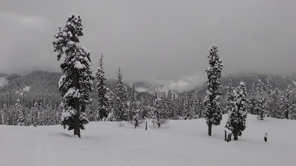 Photo of An Enchanted Kashmir 23/31 by Nehal Mewada
