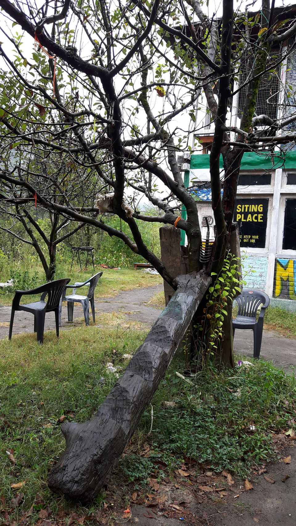 Photo of The Untouched Beauty of Kasol 4/9 by Swapna Ralhan