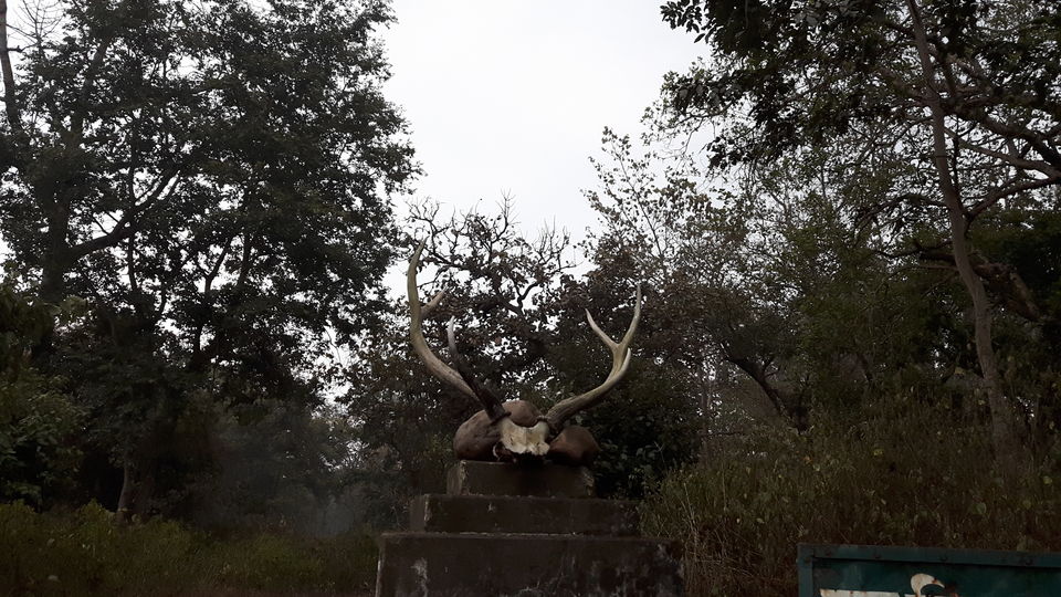 Photo of Wild Trails - Rajaji National Park 4/10 by Swapna Ralhan