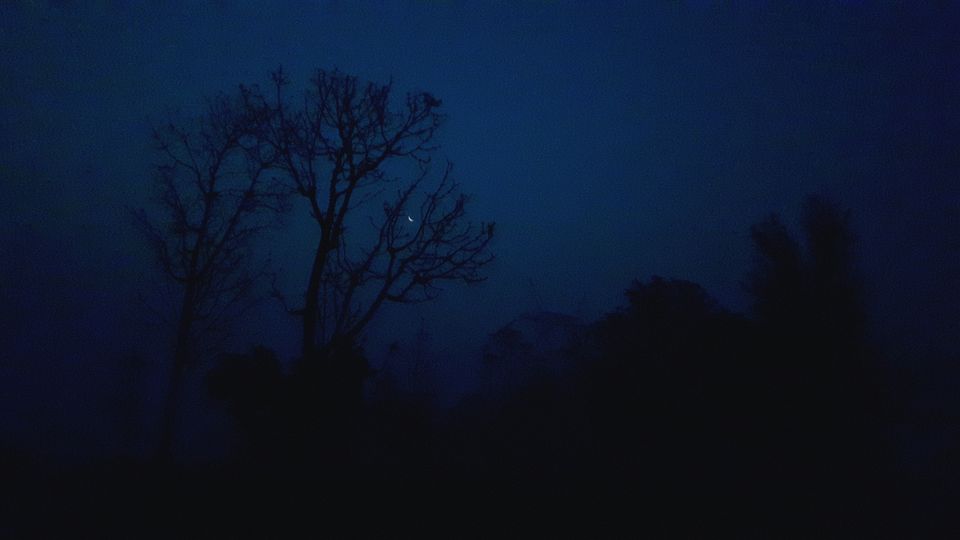 Photo of Wild Trails - Rajaji National Park 5/10 by Swapna Ralhan