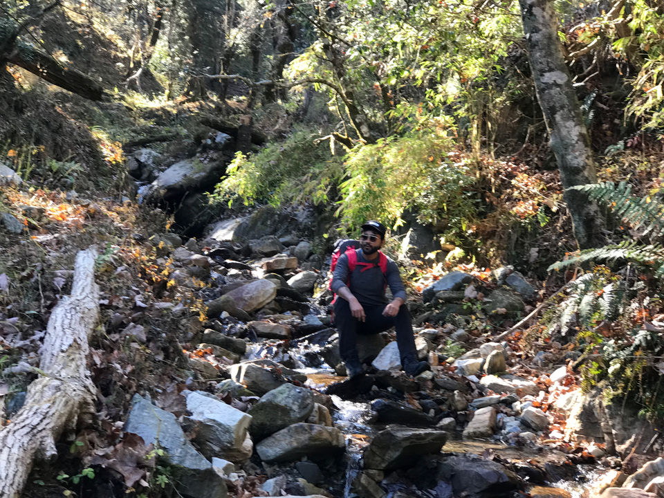 Photo of Ketharkantha Trek Uttara-khand by Honey Rajpurohit