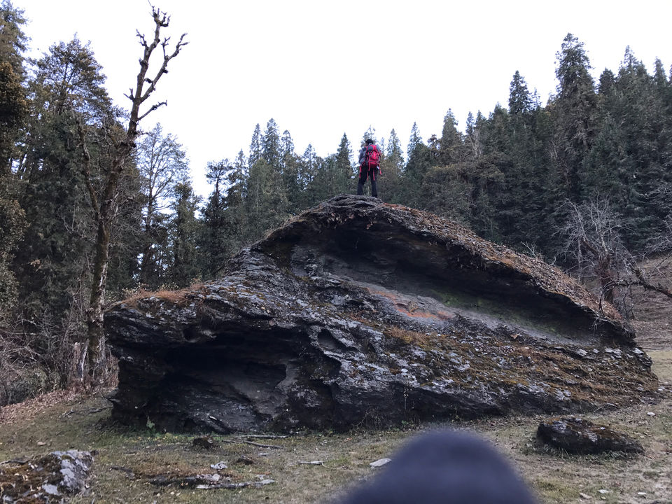 Photo of Ketharkantha Trek Uttara-khand by Honey Rajpurohit