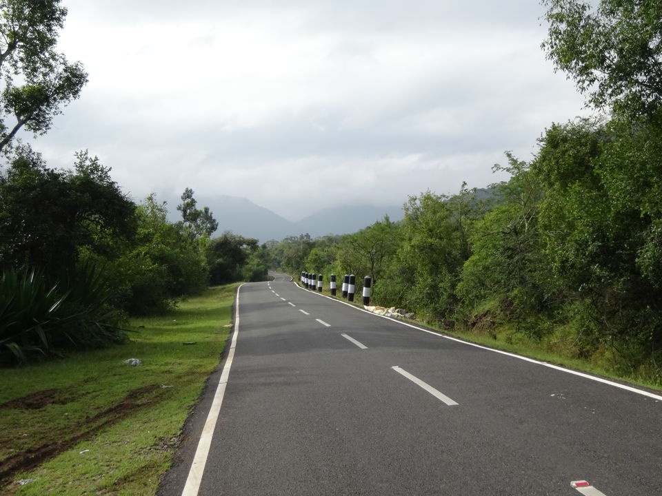 Photo of Travel Bug ! Ooty & Wayanad 3/27 by Musafir