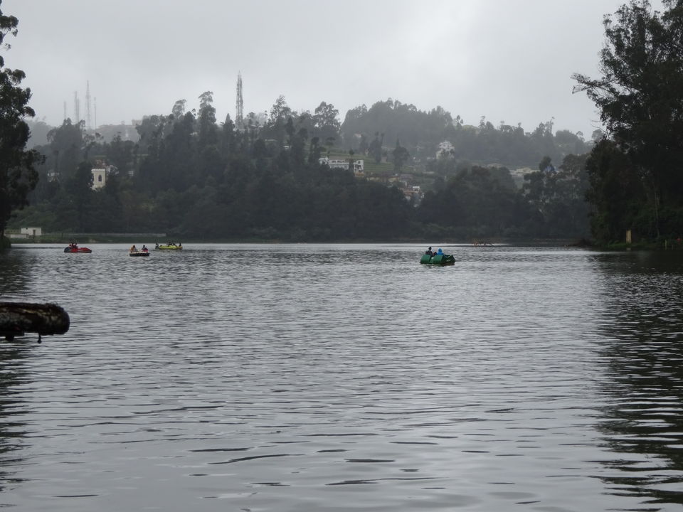 Photo of Travel Bug ! Ooty & Wayanad 7/27 by Musafir