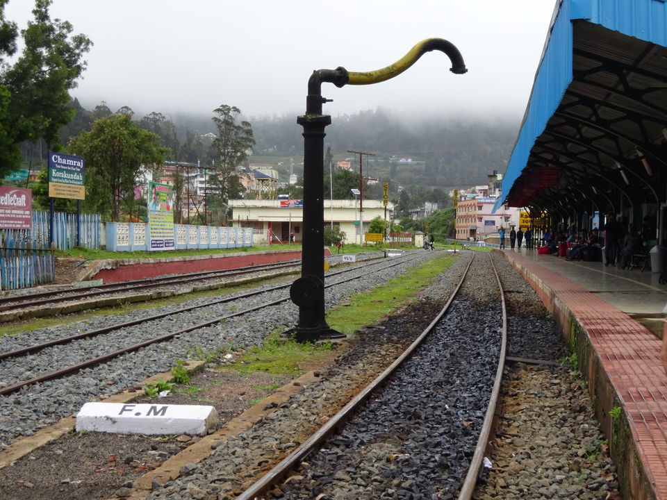 Photo of Travel Bug ! Ooty & Wayanad 8/27 by Musafir