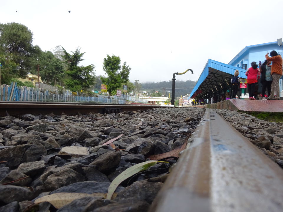 Photo of Travel Bug ! Ooty & Wayanad 9/27 by Musafir