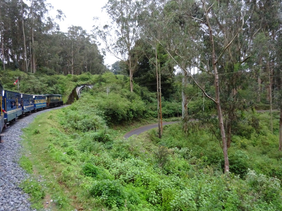 Photo of Travel Bug ! Ooty & Wayanad 12/27 by Musafir