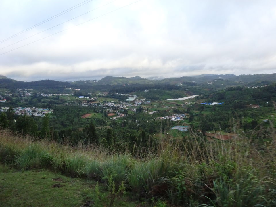 Photo of Travel Bug ! Ooty & Wayanad 13/27 by Musafir