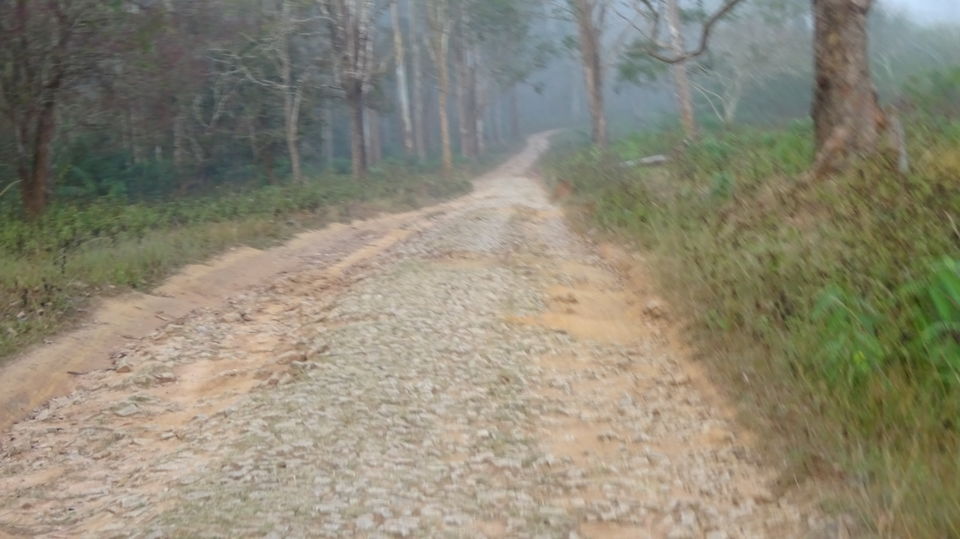 Photo of Travel Bug ! Ooty & Wayanad 21/27 by Musafir