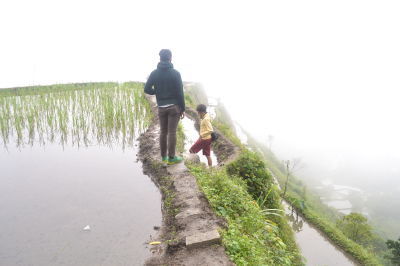 Photo of Banaue Rice Terraces, Nueva Vizcaya - Ifugao - Mountain Province Road, Banaue, Cordillera Administrative Region, Philippines by Kim Buenafe