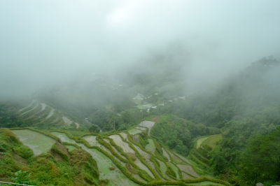 Photo of Banaue Rice Terraces, Nueva Vizcaya - Ifugao - Mountain Province Road, Banaue, Cordillera Administrative Region, Philippines by Kim Buenafe