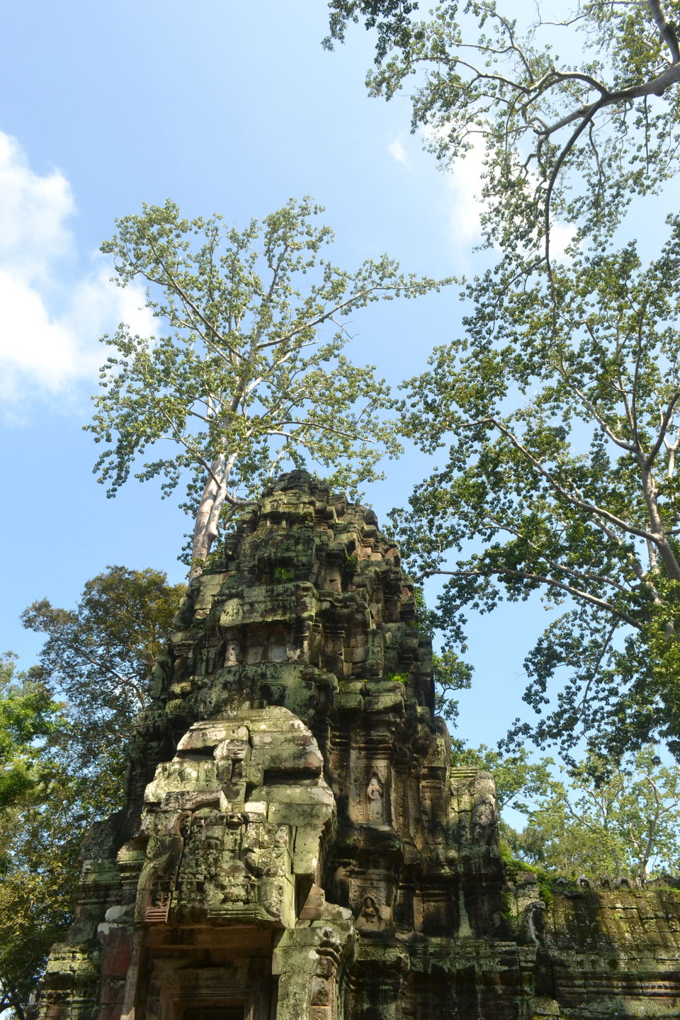 Photo of Ta Prohm, Krong Siem Reap, Siem Reap, Cambodia by Kim Buenafe