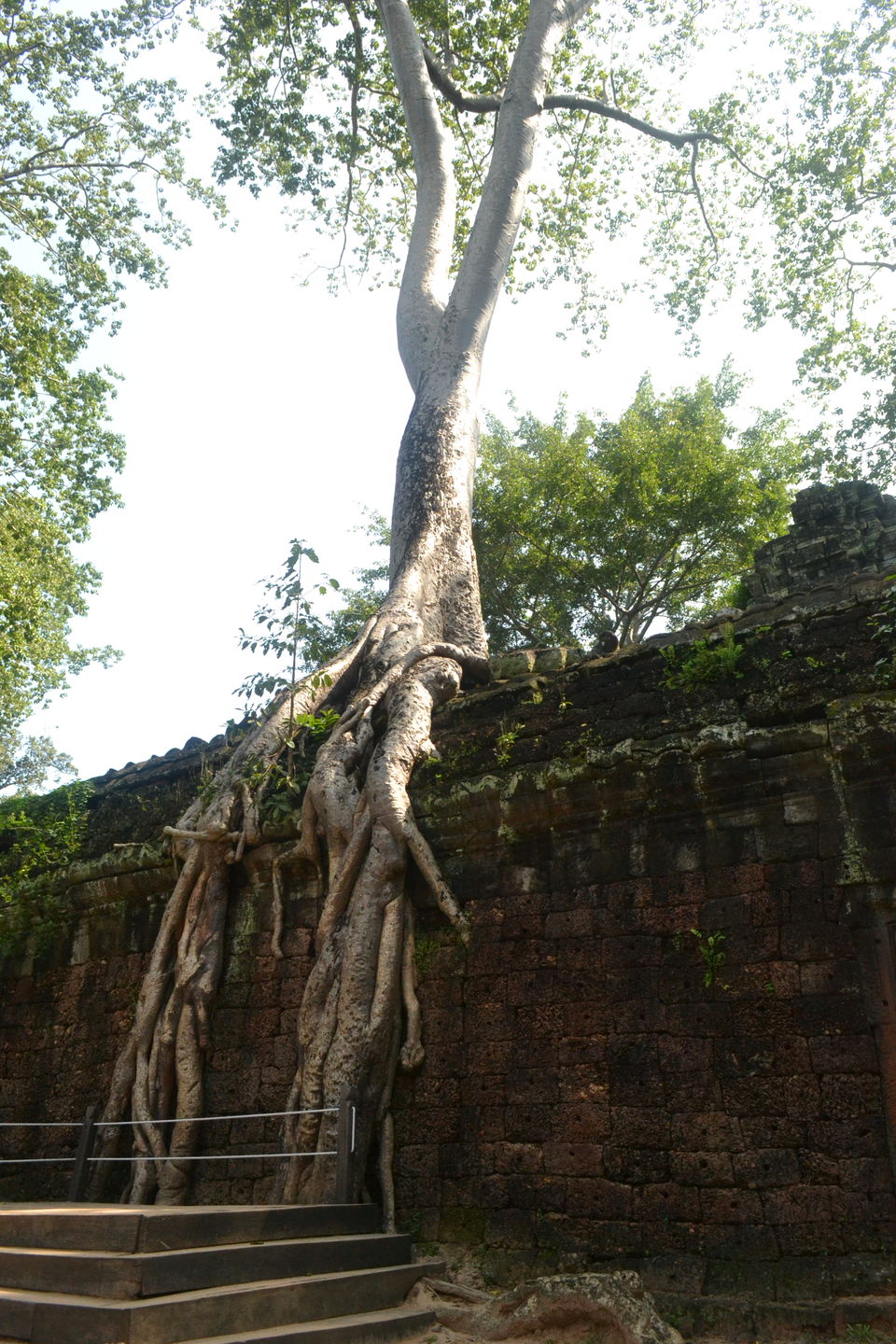 Photo of Ta Prohm, Krong Siem Reap, Siem Reap, Cambodia by Kim Buenafe